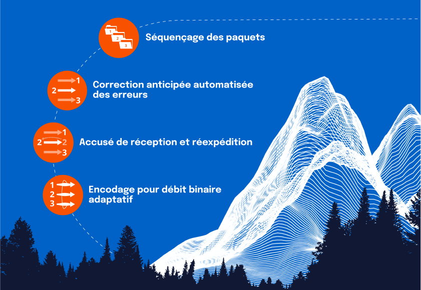 LRT™ : la recette 